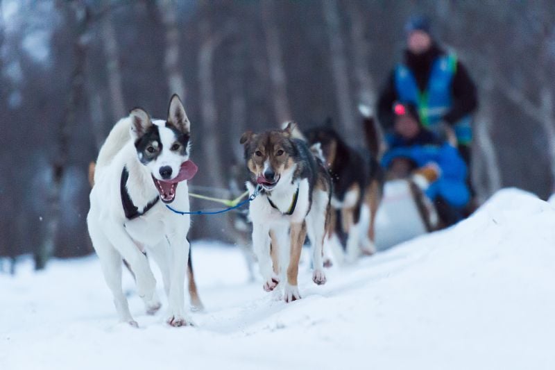 Hurtigruten_Photo_Orjan_Bertelsen_171