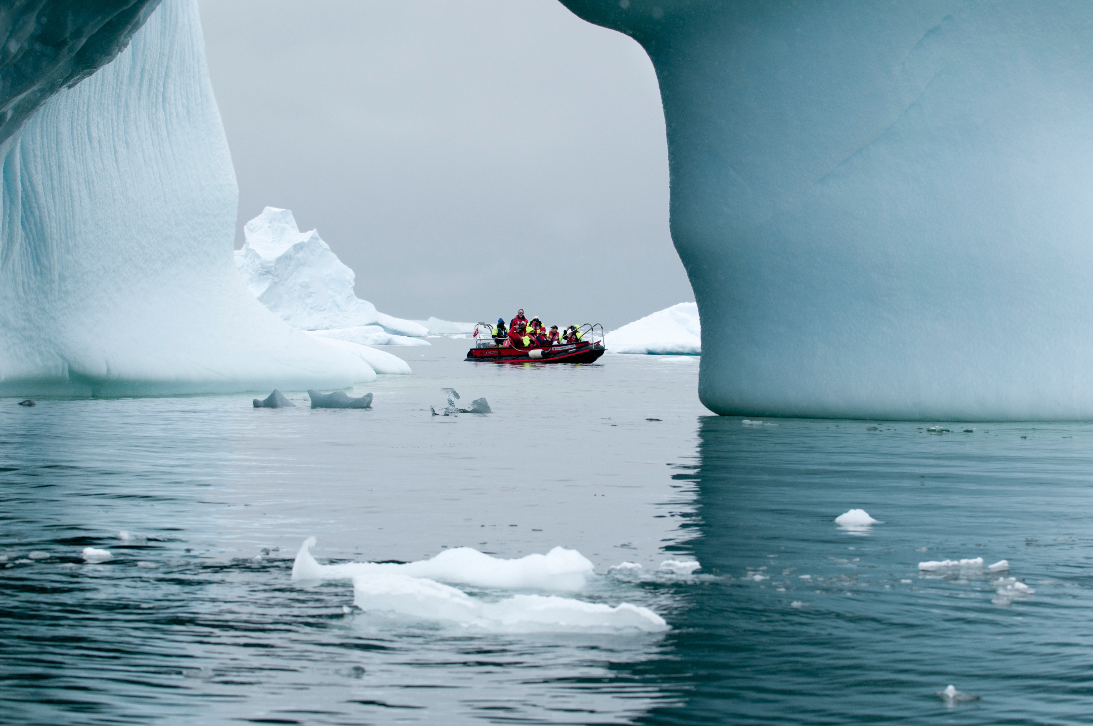Zodiac expedition in Antarctica