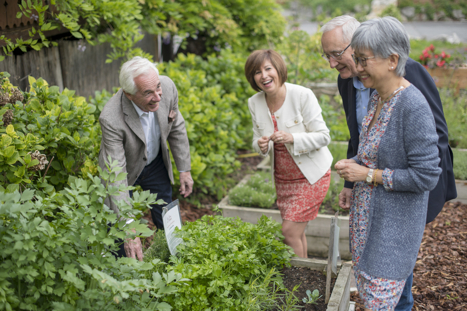 Insight Vacations Country Roads of France Escorted Group Tour