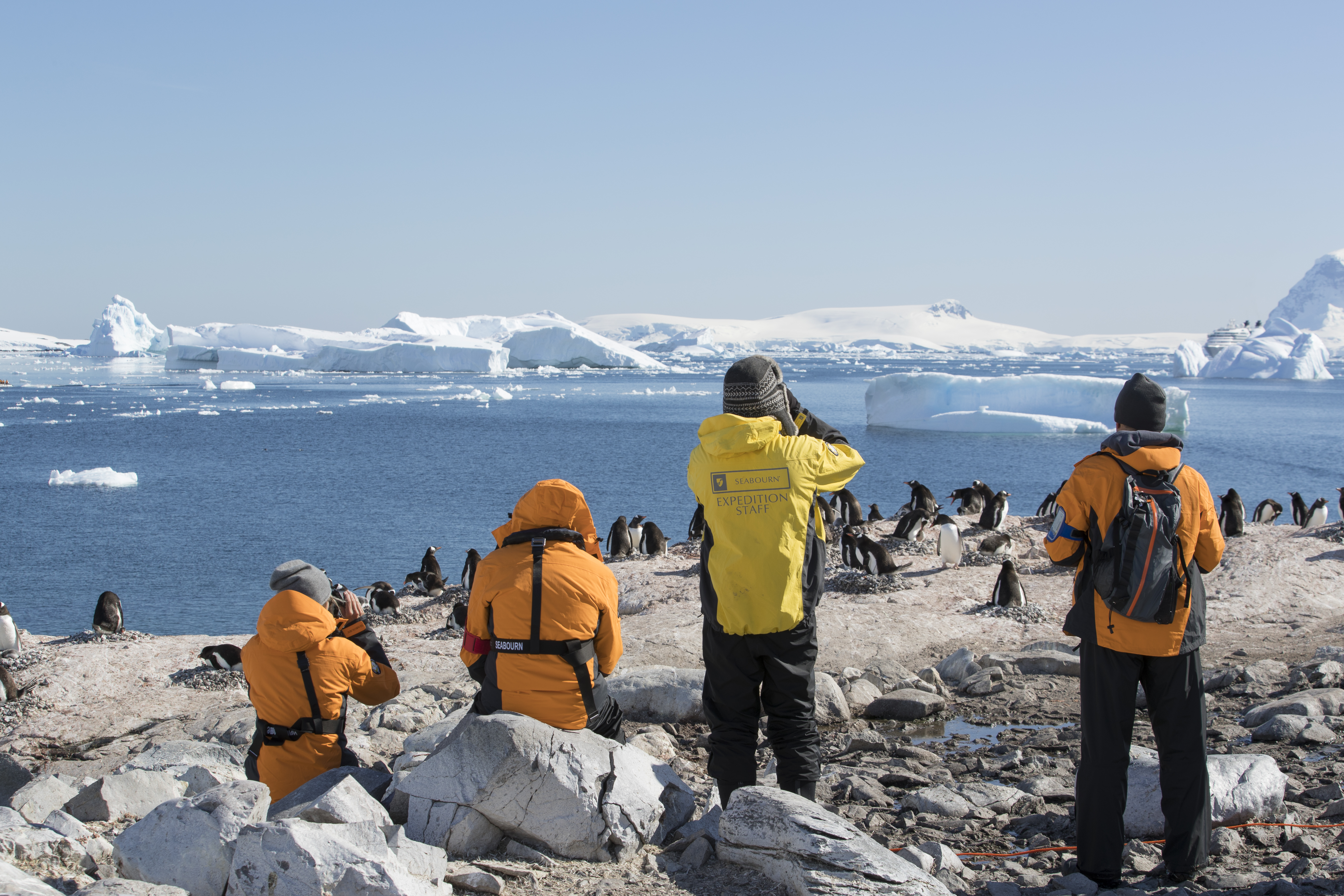 SBN-RSAY17-Onshore-Seabourn Guests with Expedition Staff-Cuverville Island-Antarctica