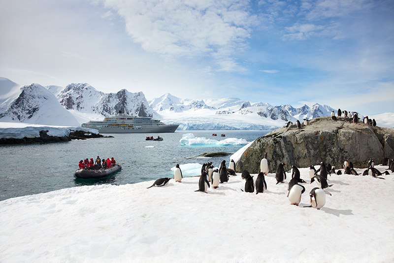 Penguins on the Antarctic Peninsula