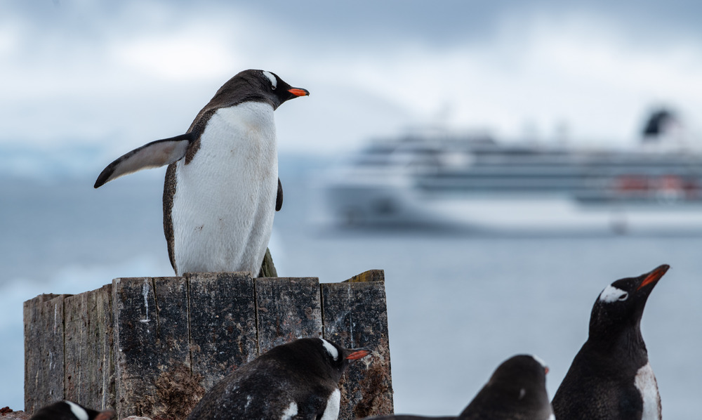 Viking Expedition Ship in Antarctica