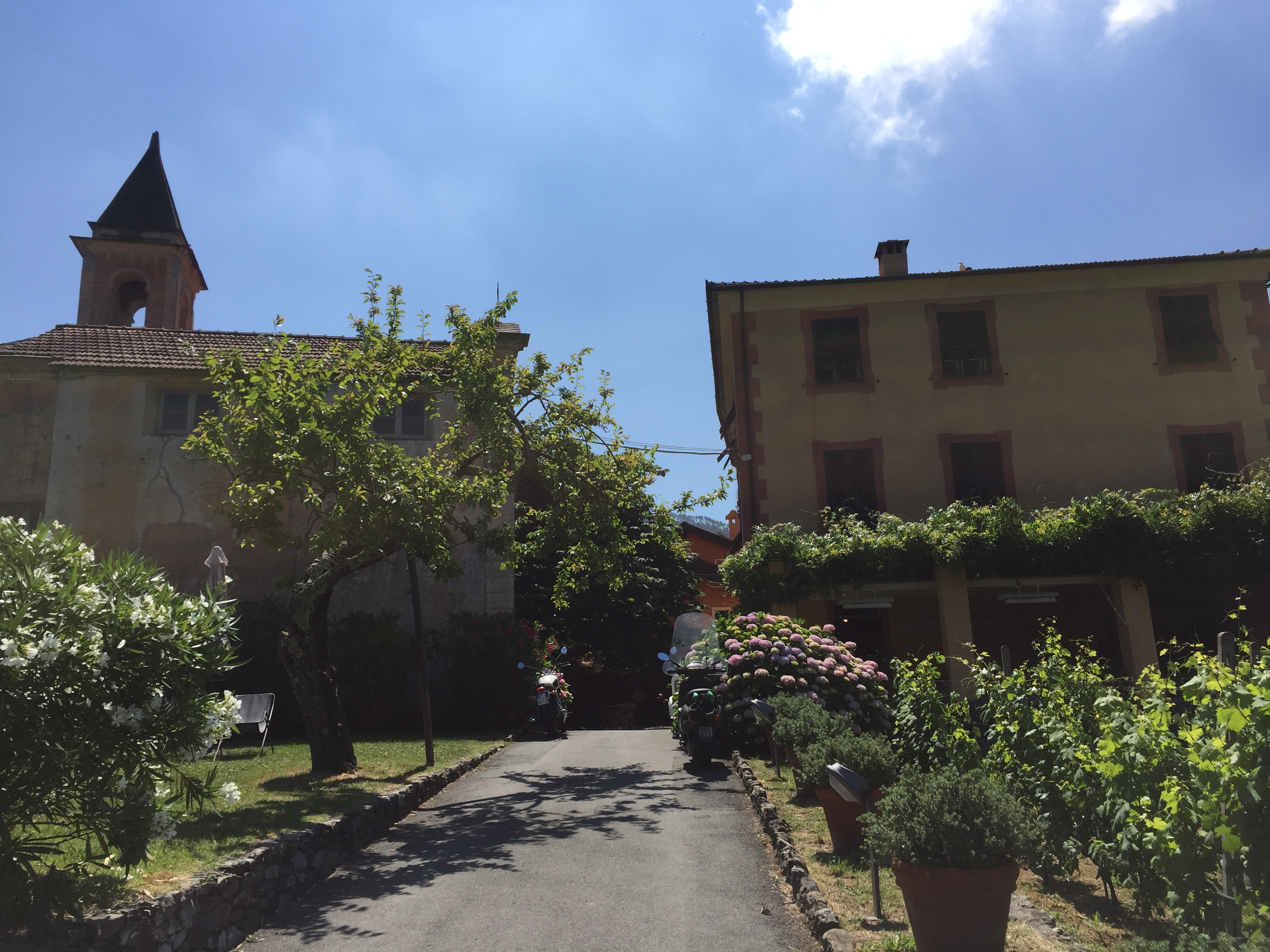 Riviera-Cooking-the-Cinque-Terre-2019