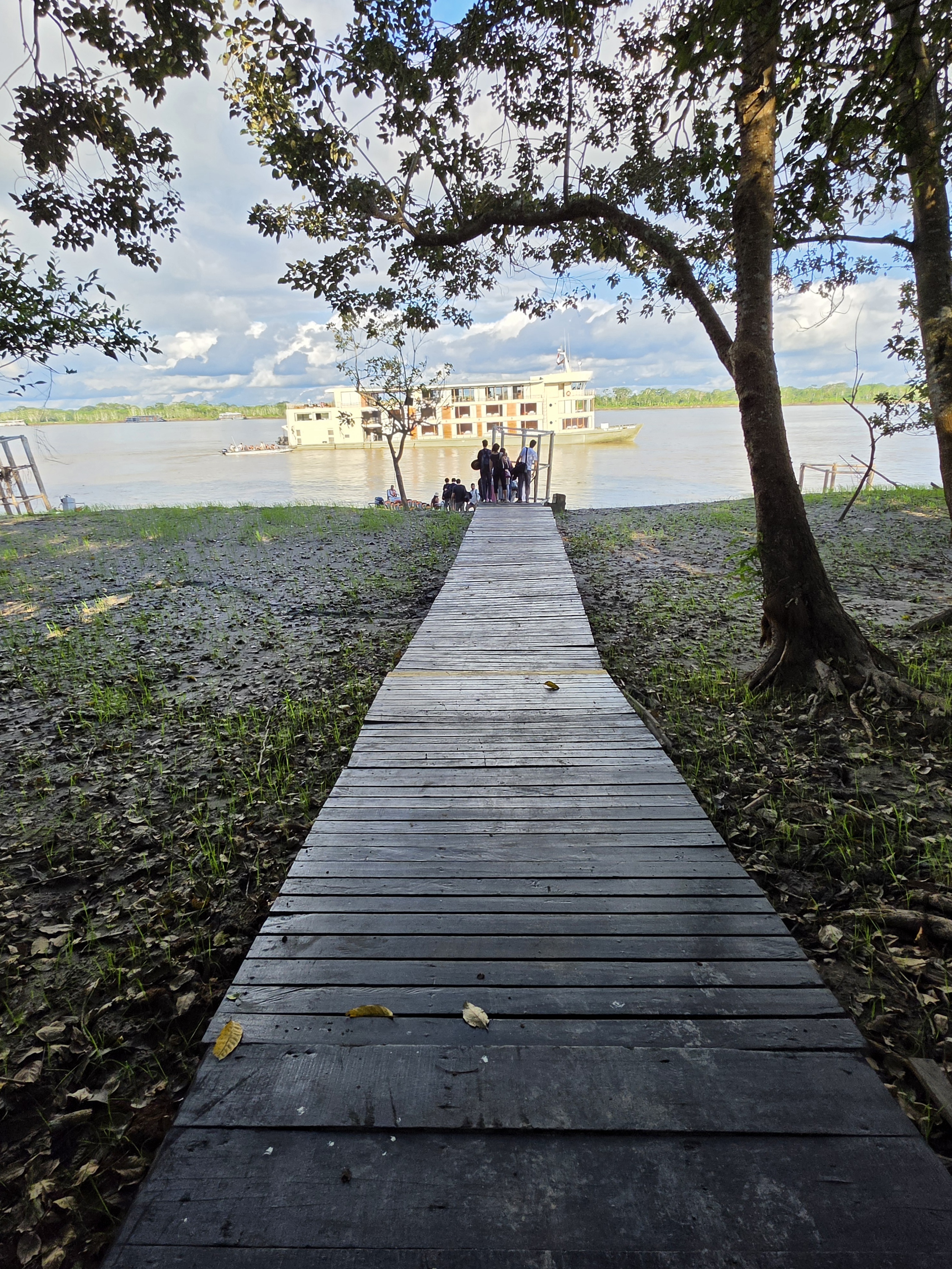 Jungle boardwalk leading down to Delfin III moored on the river