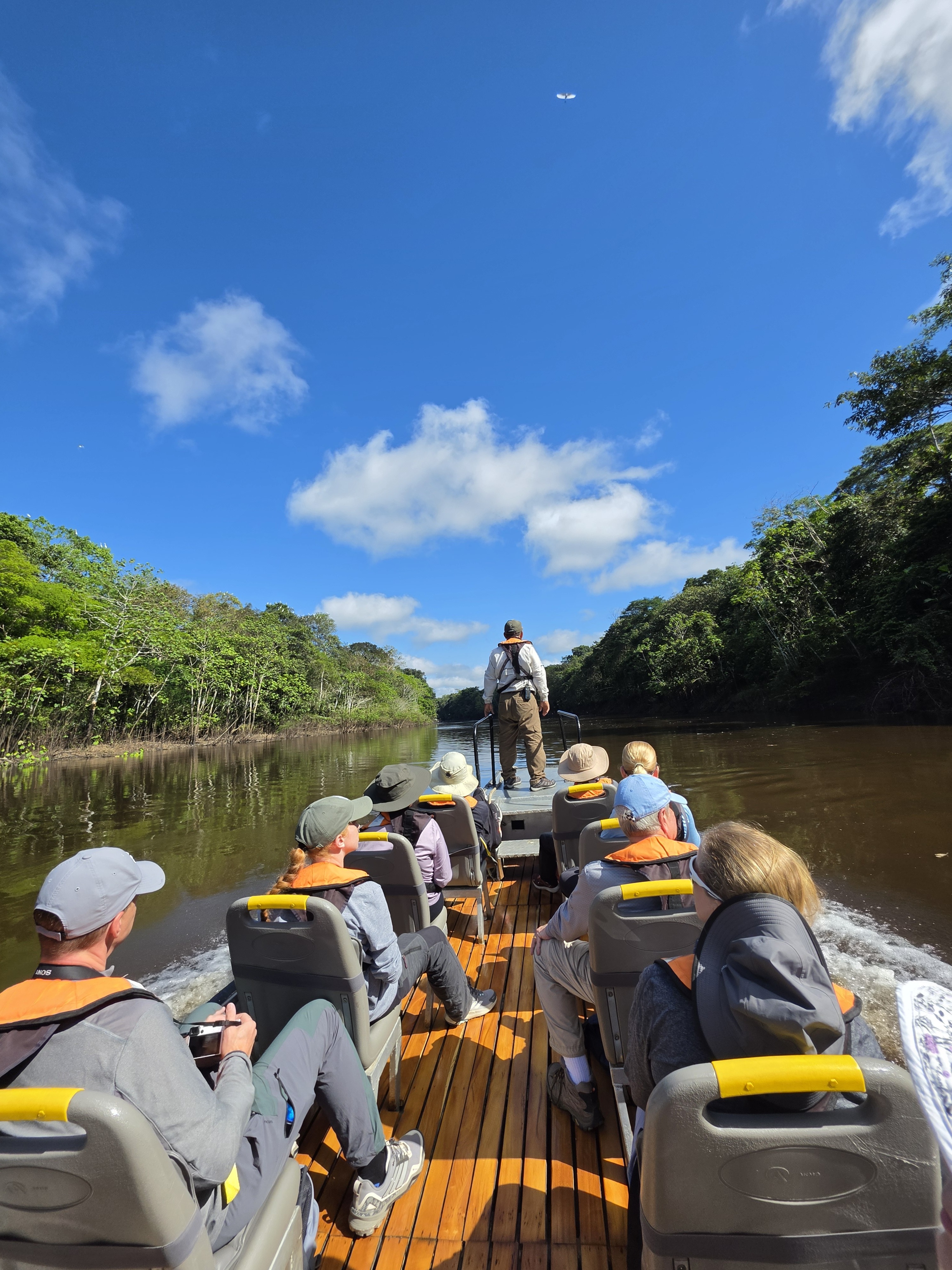 Guests exploring a narrow Amazon waterway by skiff, with a guide standing at the bow
