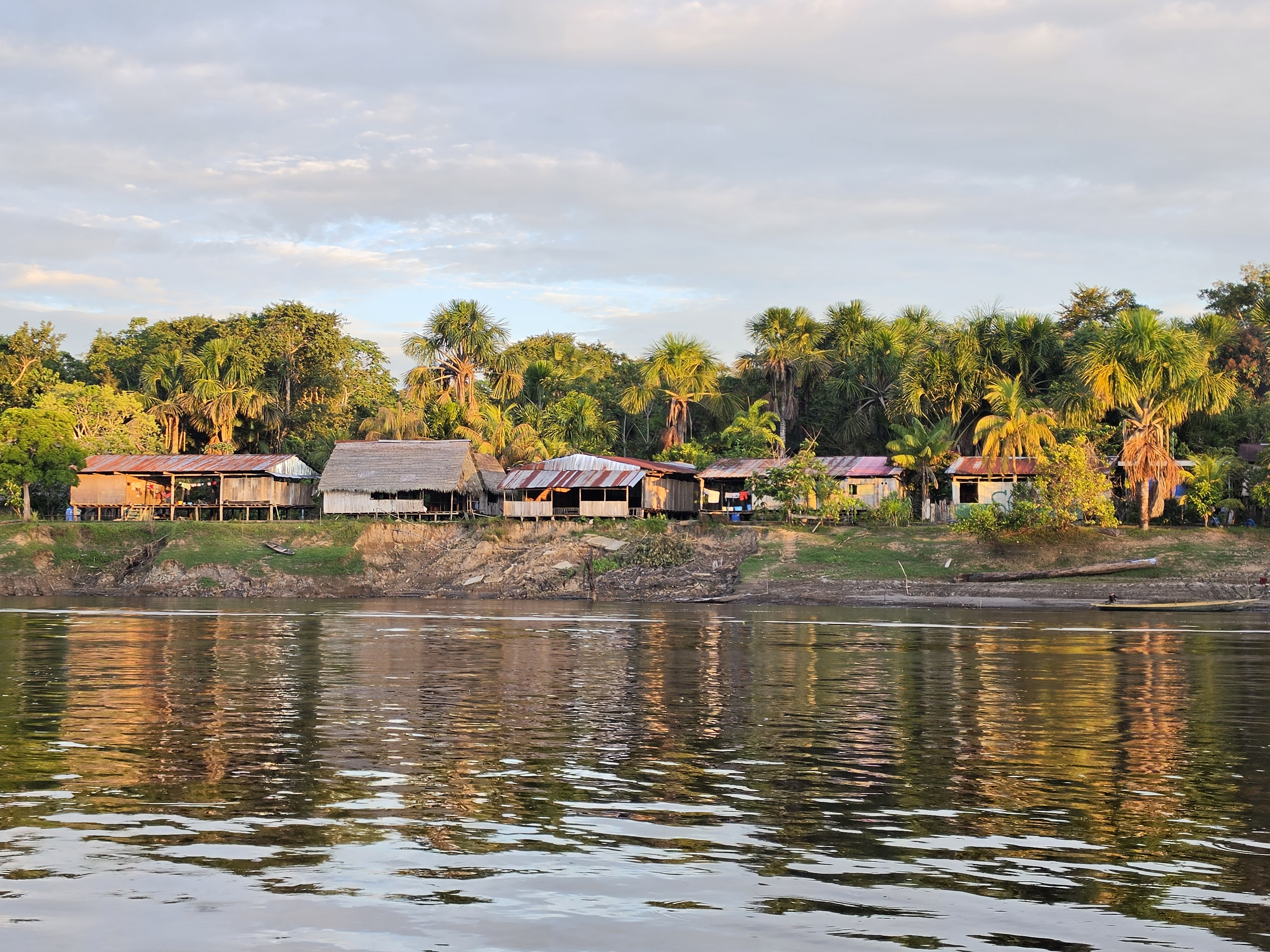 A riverside village of stilt houses and palms on the Amazon at golden hour