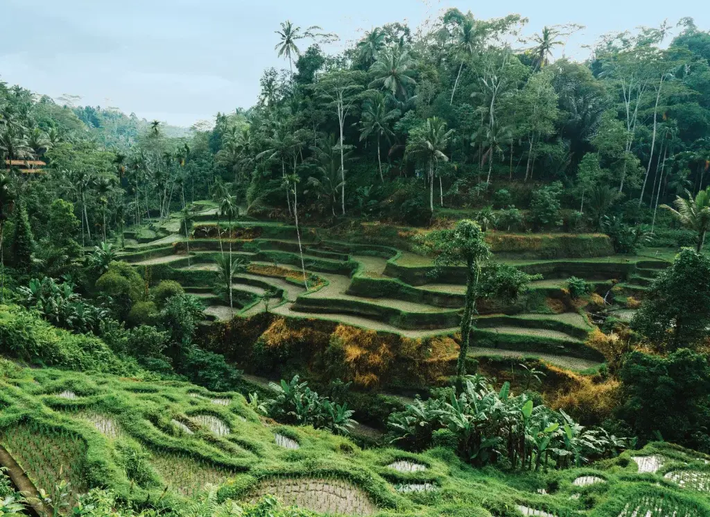 Seabourn-expeditions-and-world-cruises