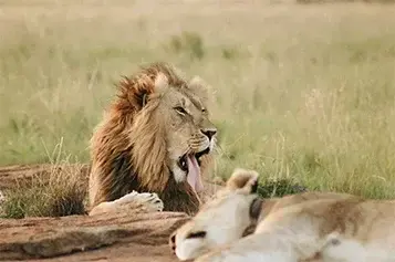 img3